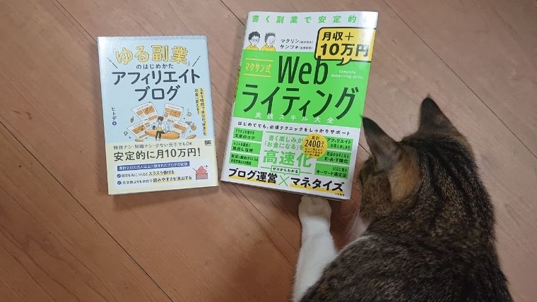 マクサン本を読み始める保護猫しらす